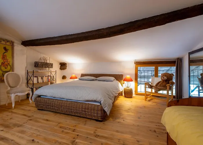 De Coulassy 8 A 10 Pers Dans Parc De 2 Hectares Vakantiehuis *